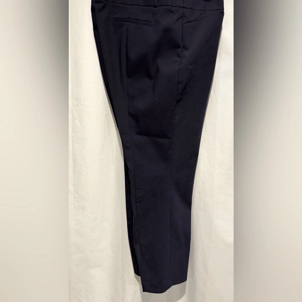LOFT Womens Plus Size 22 Marisa Skinny Flat Front Button Zip Navy Pocket Pants - Picture 5 of 8